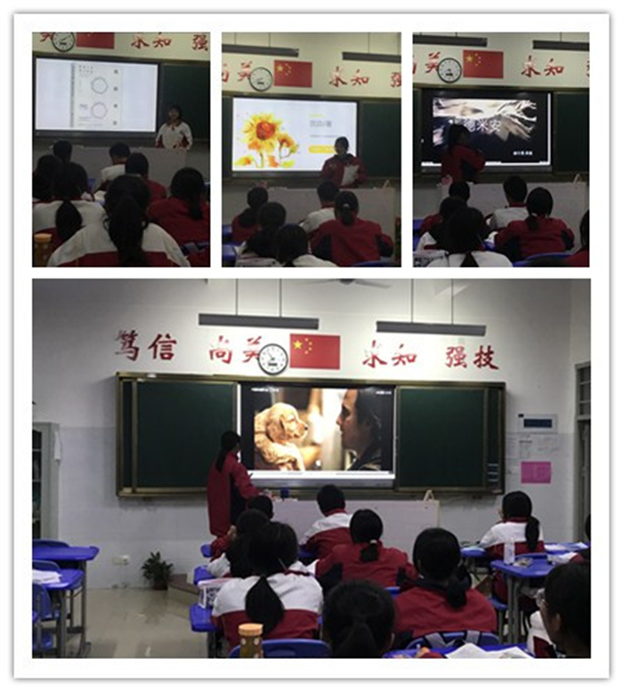 1646460372313408.png 图片12.png